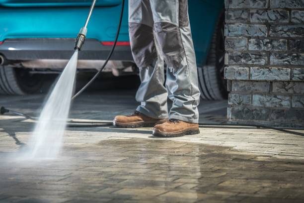 Best Soft Washing  in Holtsville, NY